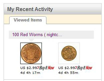 Close Up of Our eBay Home Page with Persistent Image Showing My Recent Activity Viwed Items